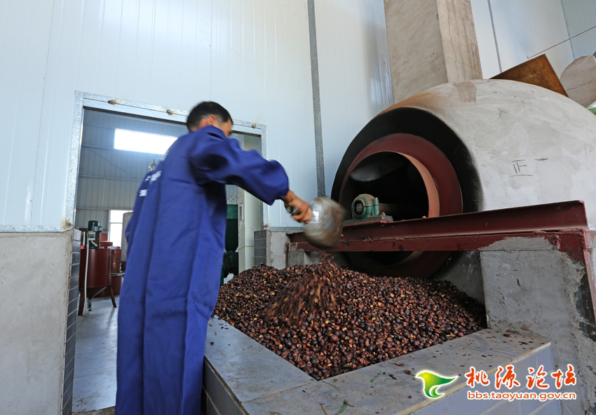 湖南省康多利油脂有限公司,油茶種植生產(chǎn)加工銷(xiāo)售,植物油種植生產(chǎn)加工銷(xiāo)售