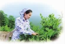 湖南省康多利油脂有限公司,油茶種植生產(chǎn)加工銷(xiāo)售,植物油種植生產(chǎn)加工銷(xiāo)售 湖南省康多利油脂有限公司,油茶種植生產(chǎn)加工銷(xiāo)售,植物油種植生產(chǎn)加工銷(xiāo)售